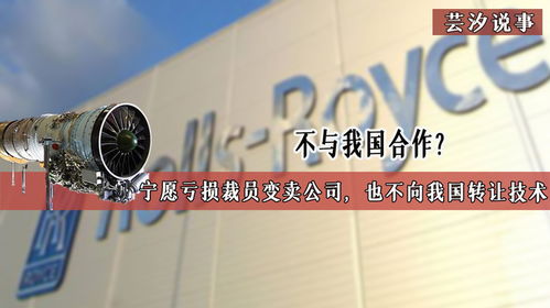 技術壁壘背后的博弈 當合作遇冷，企業走向何方？